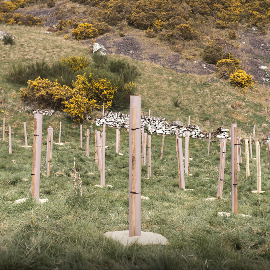 The Future Forest Company reforesting over 340,000 trees in the Stirlingshire landscape. Plant trees